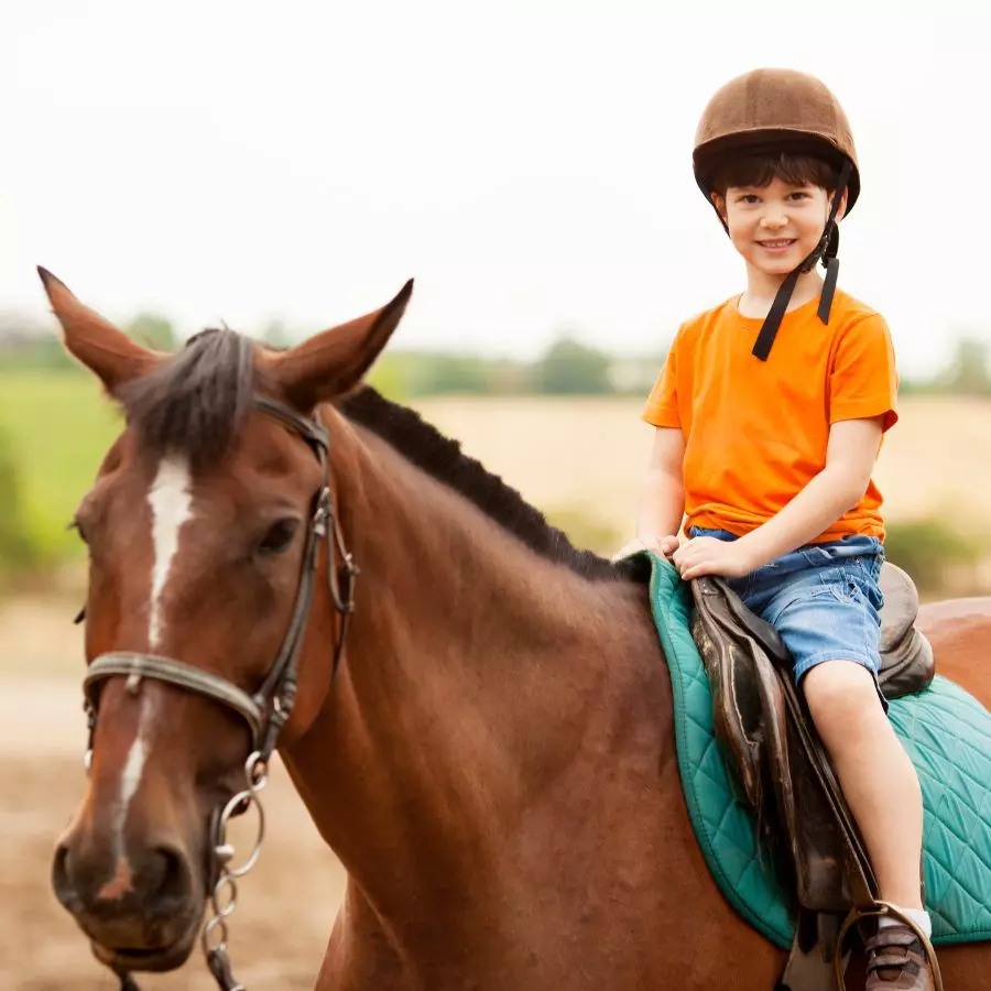 Chłopiec na koniu Remaju